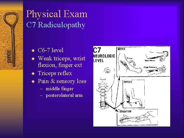 Physical Exam C 7 Radiculopathy ¨ C 6 -7 level ¨ Weak triceps, wrist