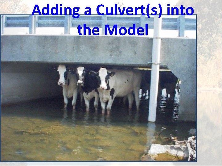 Adding a Culvert(s) into the Model 