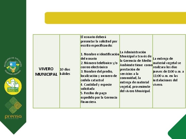 El usuario deberá presentar la solicitud por escrito especificando: VIVERO MUNICIPAL 10 días hábiles