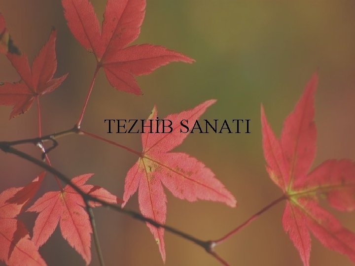 TEZHİB SANATI 