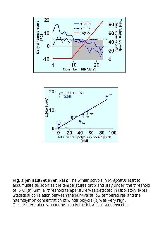 Fig. a (en haut) et b (en bas): The winter polyols in P. apterus