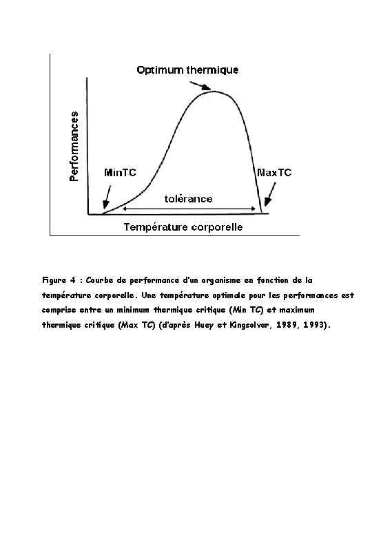 Figure 4 : Courbe de performance d’un organisme en fonction de la température corporelle.