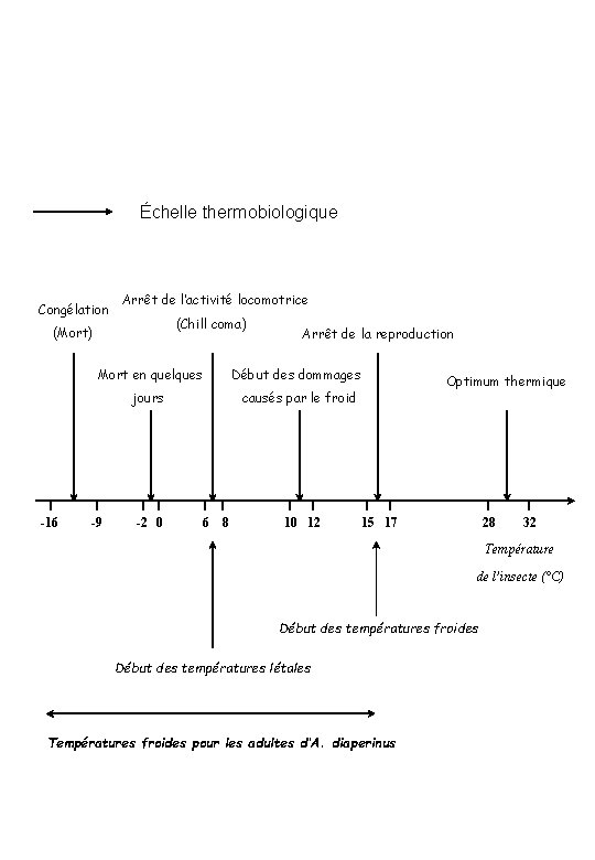 Échelle thermobiologique Congélation Arrêt de l’activité locomotrice (Chill coma) (Mort) -16 Arrêt de la