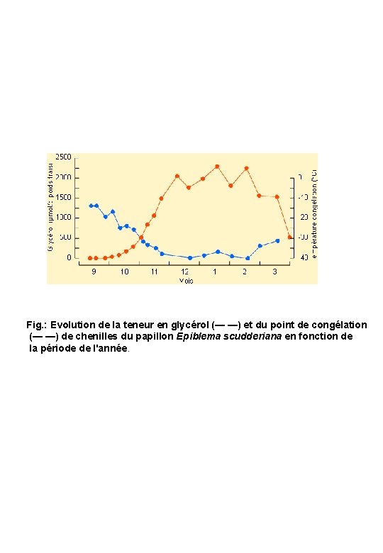 Fig. : Evolution de la teneur en glycérol (— —) et du point de