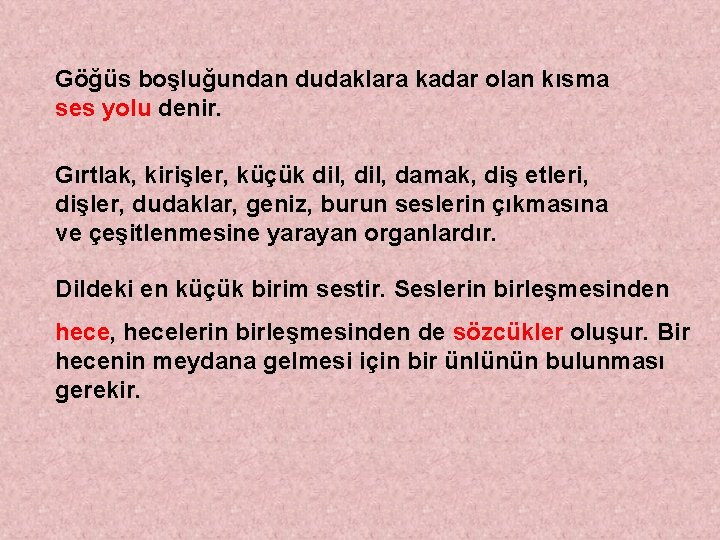 Göğüs boşluğundan dudaklara kadar olan kısma ses yolu denir. Gırtlak, kirişler, küçük dil, damak,