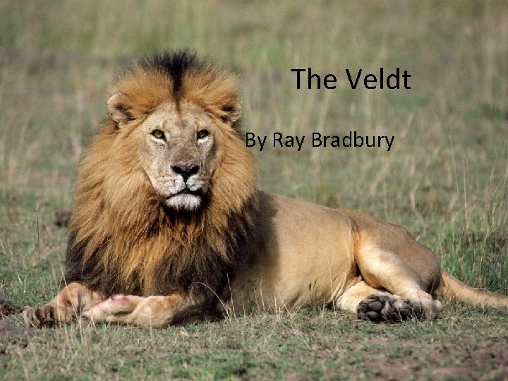 The Veldt By Ray Bradbury 