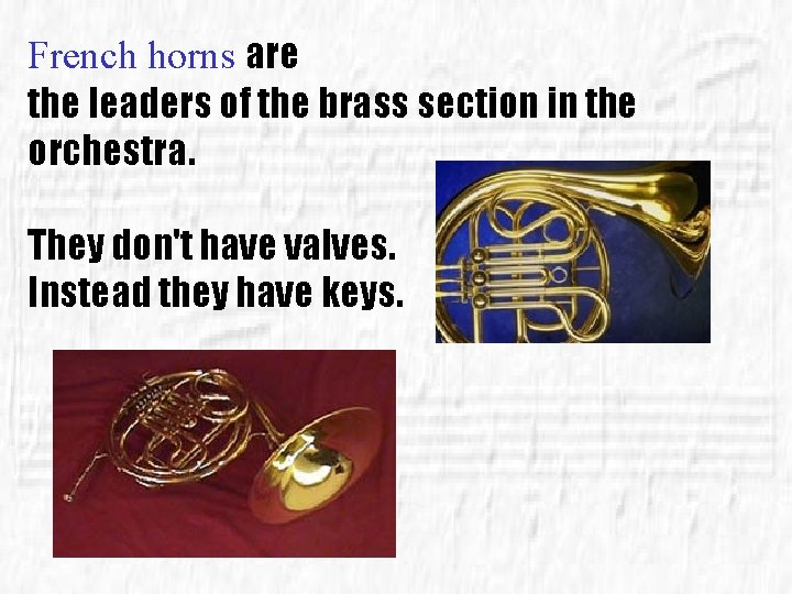 French horns are the leaders of the brass section in the orchestra. They don't
