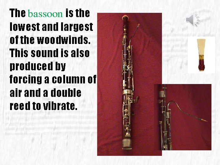 The bassoon is the lowest and largest of the woodwinds. This sound is also