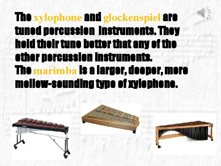 The xylophone and glockenspiel are tuned percussion instruments. They hold their tune better that