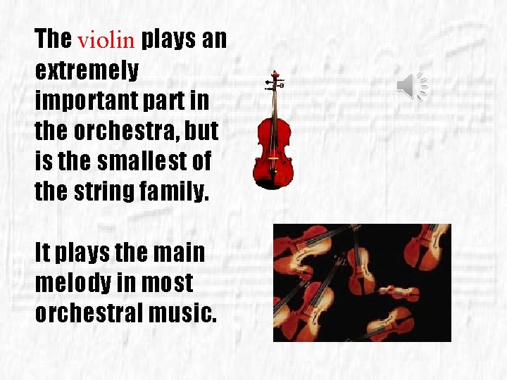 The violin plays an extremely important part in the orchestra, but is the smallest