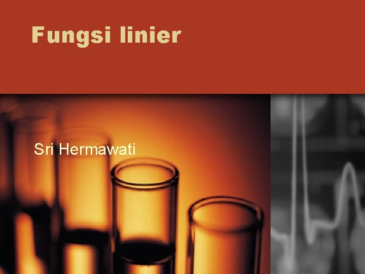 Fungsi linier Sri Hermawati 