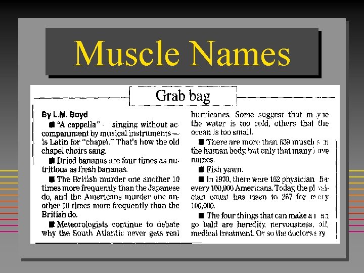 Muscle Names 