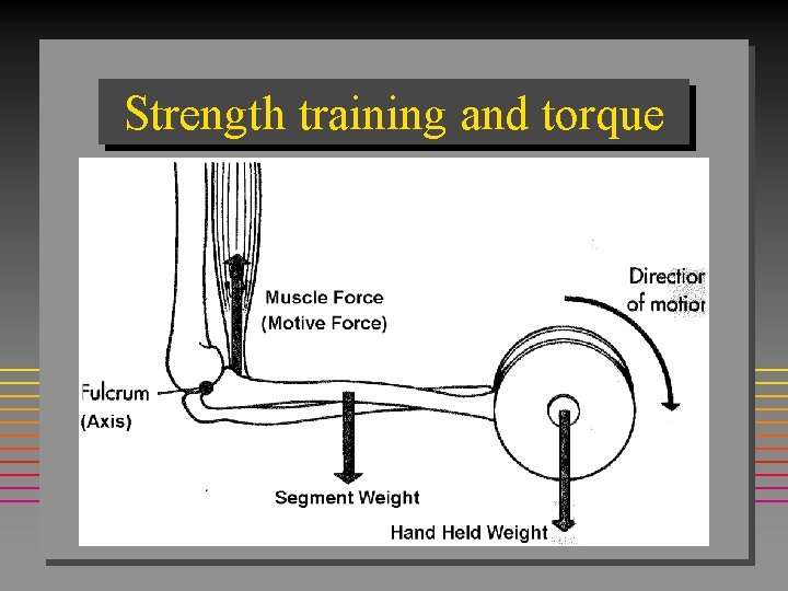 Strength training and torque 