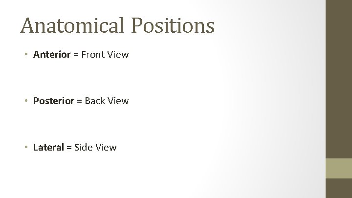 Anatomical Positions • Anterior = Front View • Posterior = Back View • Lateral