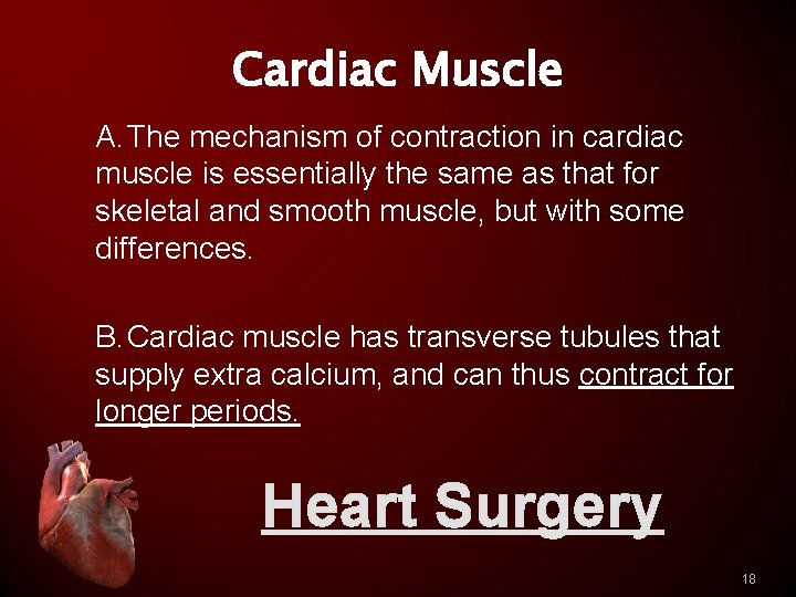 Cardiac Muscle A. The mechanism of contraction in cardiac muscle is essentially the same