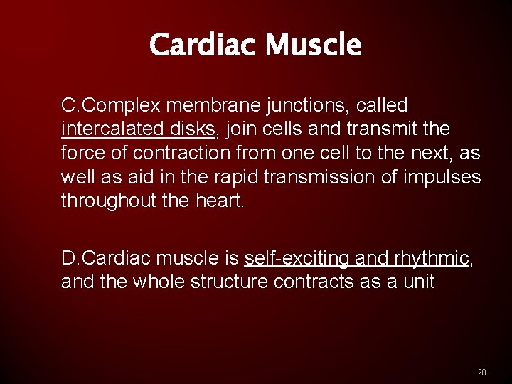 Cardiac Muscle C. Complex membrane junctions, called intercalated disks, join cells and transmit the