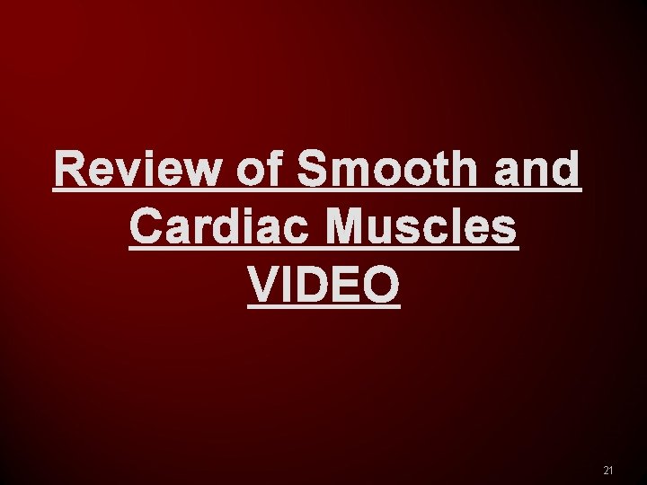 Review of Smooth and Cardiac Muscles VIDEO 21 