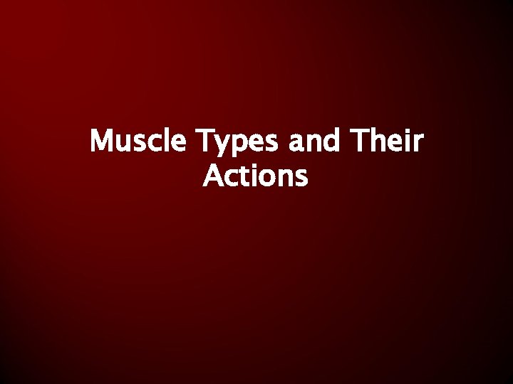 Muscle Types and Their Actions 