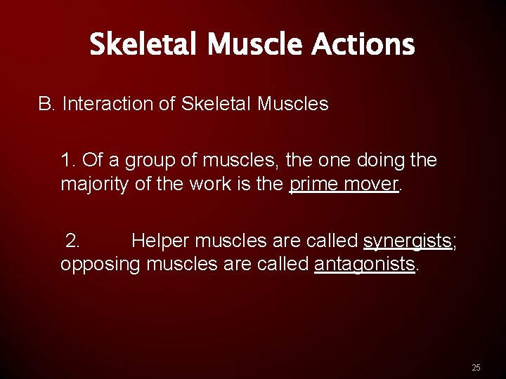 Skeletal Muscle Actions B. Interaction of Skeletal Muscles 1. Of a group of muscles,