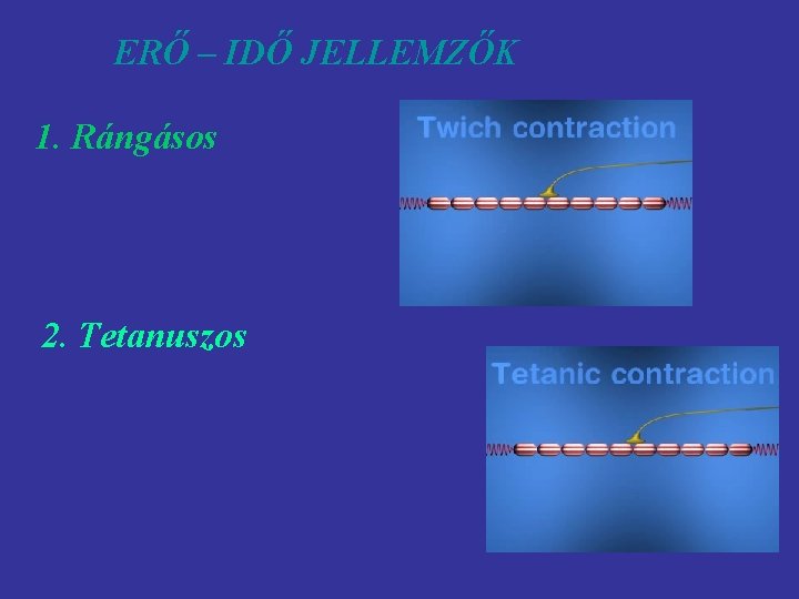 ERŐ – IDŐ JELLEMZŐK 1. Rángásos 2. Tetanuszos 