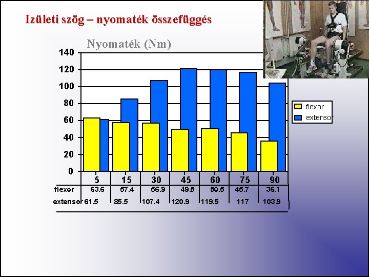 Izületi szög – nyomaték összefüggés 140 Nyomaték (Nm) 120 100 80 flexor 60 extensor