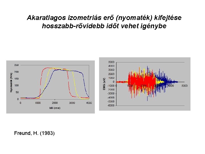 Akaratlagos izometriás erő (nyomaték) kifejtése hosszabb-rövidebb időt vehet igénybe Freund, H. (1983) 