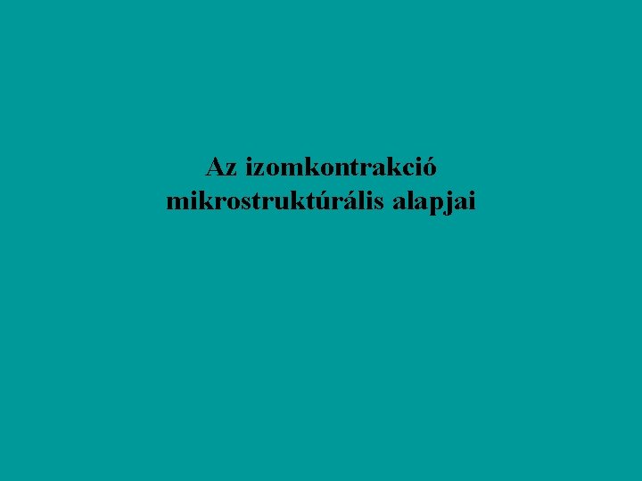 Az izomkontrakció mikrostruktúrális alapjai 