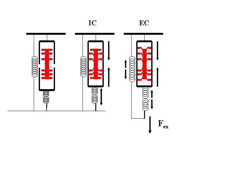 IC EC Fex 