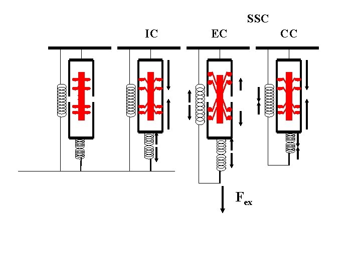 SSC IC EC CC Fex 