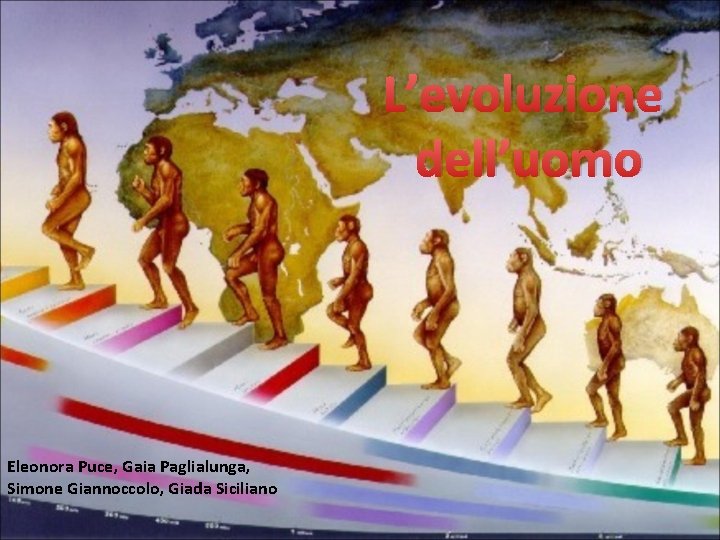 L’evoluzione dell’uomo Eleonora Puce, Gaia Paglialunga, Simone Giannoccolo, Giada Siciliano 