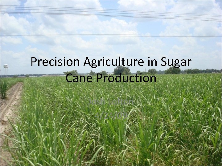 Precision Agriculture in Sugar Cane Production Josh Lofton 4/24/09 