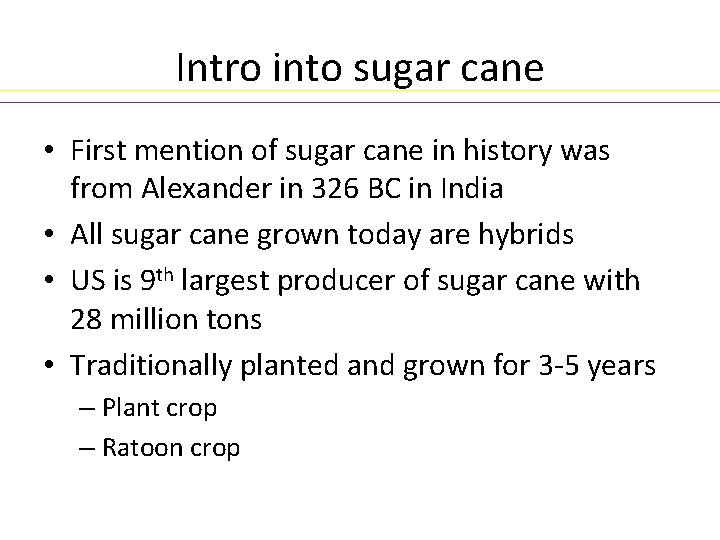 Intro into sugar cane • First mention of sugar cane in history was from