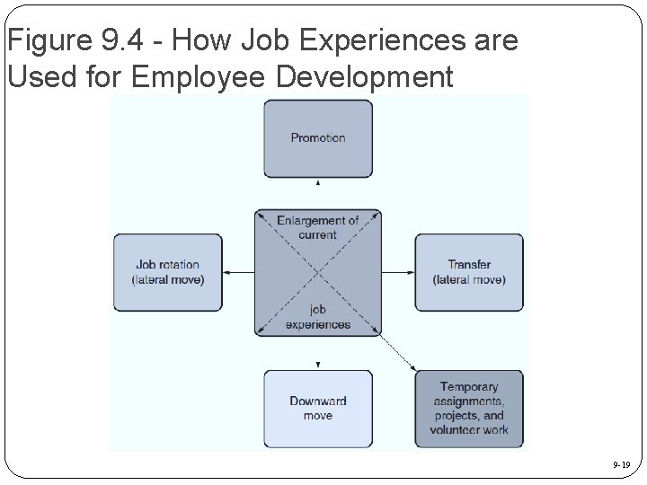Figure 9. 4 - How Job Experiences are Used for Employee Development 9 -19