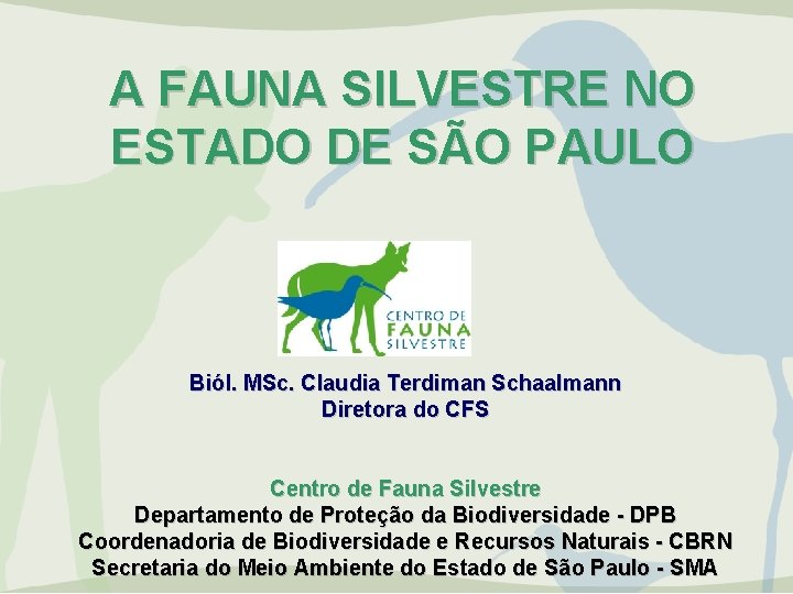 A FAUNA SILVESTRE NO ESTADO DE SÃO PAULO Biól. MSc. Claudia Terdiman Schaalmann Diretora