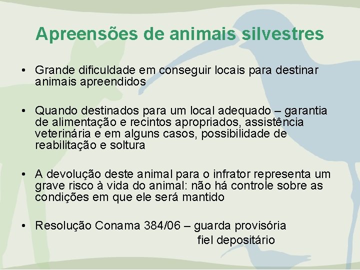 Apreensões de animais silvestres • Grande dificuldade em conseguir locais para destinar animais apreendidos