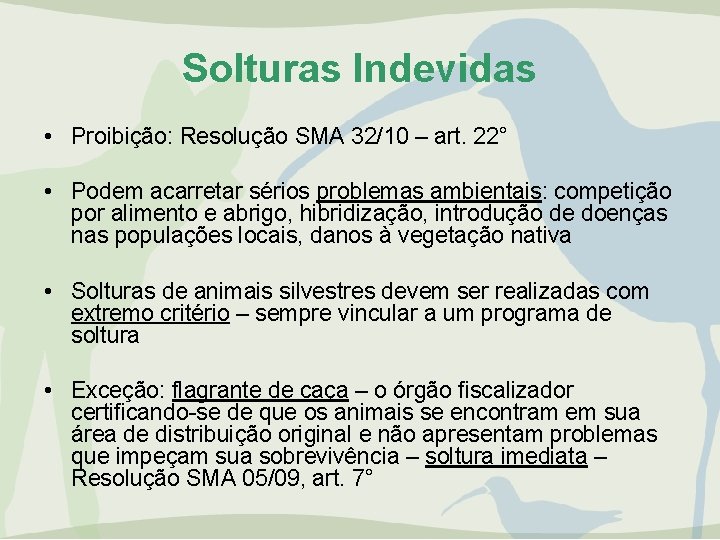 Solturas Indevidas • Proibição: Resolução SMA 32/10 – art. 22° • Podem acarretar sérios