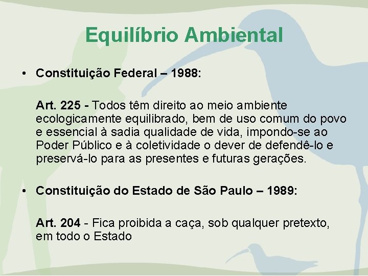 Equilíbrio Ambiental • Constituição Federal – 1988: Art. 225 - Todos têm direito ao