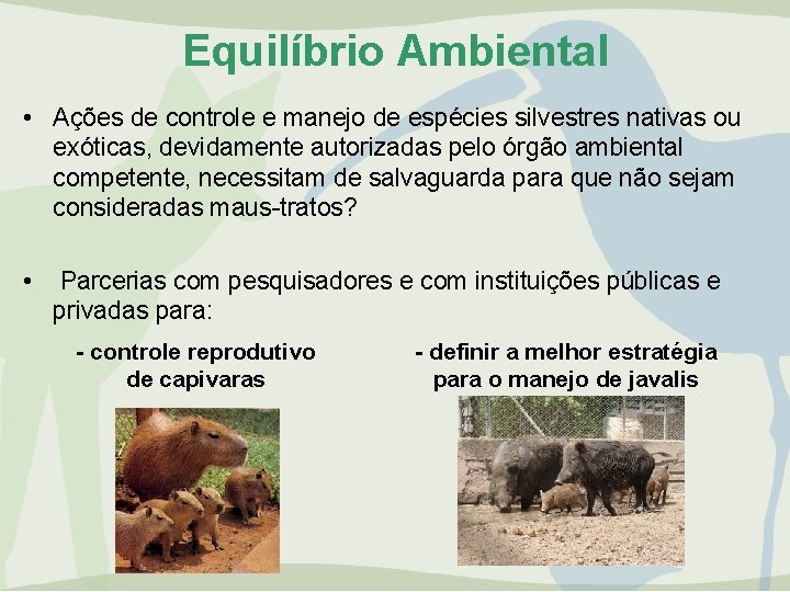 Equilíbrio Ambiental • Ações de controle e manejo de espécies silvestres nativas ou exóticas,