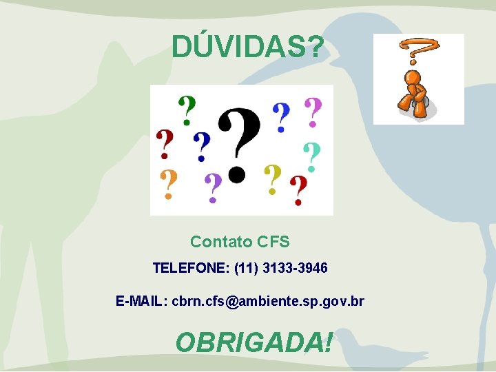 DÚVIDAS? Contato CFS TELEFONE: (11) 3133 -3946 E-MAIL: cbrn. cfs@ambiente. sp. gov. br OBRIGADA!
