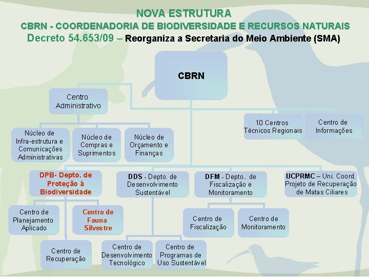 NOVA ESTRUTURA CBRN - COORDENADORIA DE BIODIVERSIDADE E RECURSOS NATURAIS Decreto 54. 653/09 –