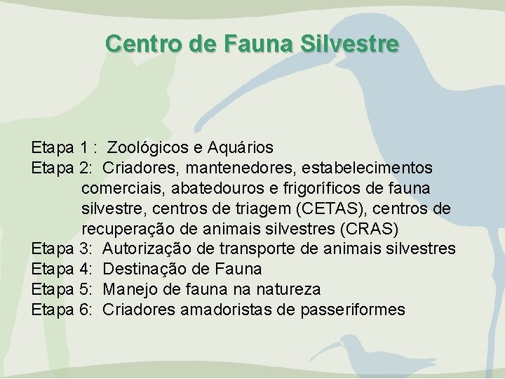 Centro de Fauna Silvestre Etapa 1 : Zoológicos e Aquários Etapa 2: Criadores, mantenedores,