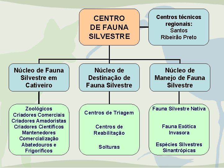 Núcleo de Fauna Silvestre em Cativeiro Zoológicos Criadores Comerciais Criadores Amadoristas Criadores Científicos Mantenedores