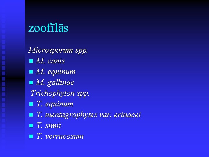 zoofīlās Microsporum spp. n M. canis n M. equinum n M. gallinae Trichophyton spp.