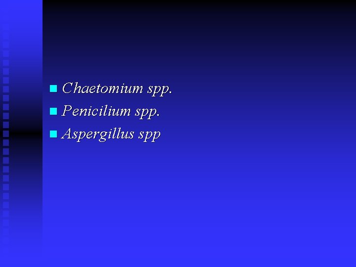 Chaetomium spp. n Penicilium spp. n Aspergillus spp n 