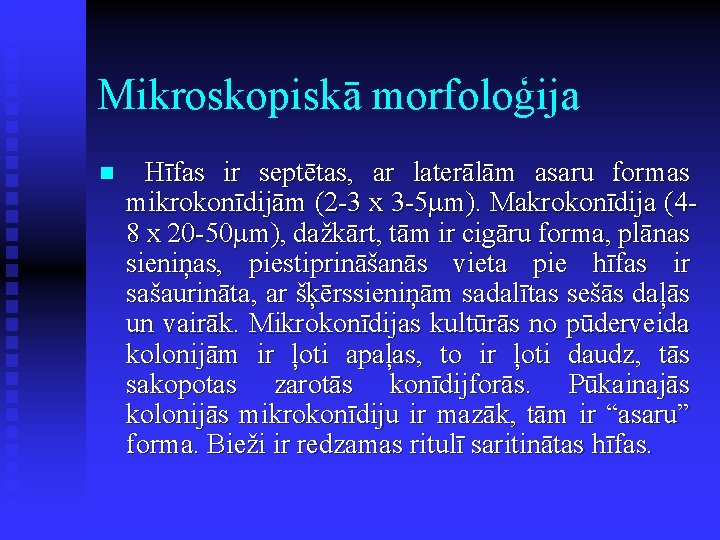 Mikroskopiskā morfoloģija n Hīfas ir septētas, ar laterālām asaru formas mikrokonīdijām (2 -3 x