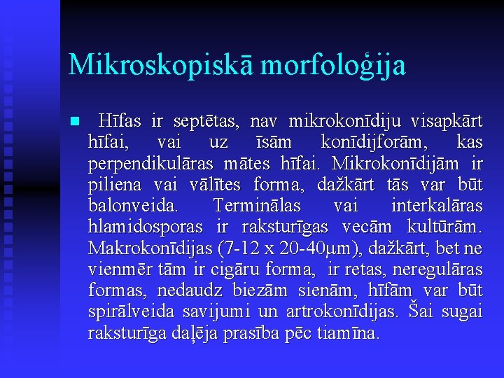 Mikroskopiskā morfoloģija n Hīfas ir septētas, nav mikrokonīdiju visapkārt hīfai, vai uz īsām konīdijforām,