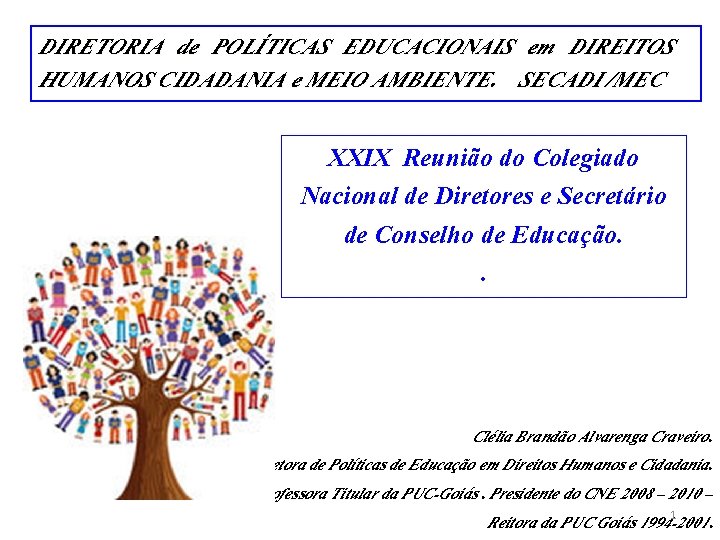 DIRETORIA de POLÍTICAS EDUCACIONAIS em DIREITOS HUMANOS CIDADANIA e MEIO AMBIENTE. SECADI /MEC XXIX