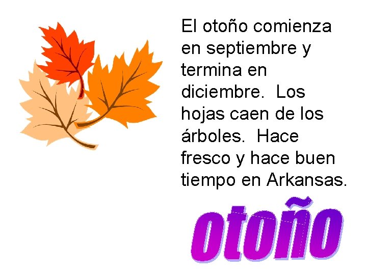 El otoño comienza en septiembre y termina en diciembre. Los hojas caen de los