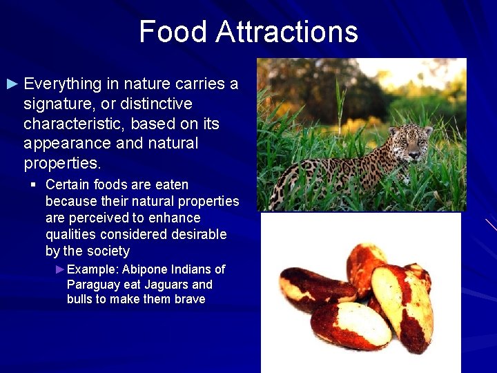 Food Attractions ► Everything in nature carries a signature, or distinctive characteristic, based on