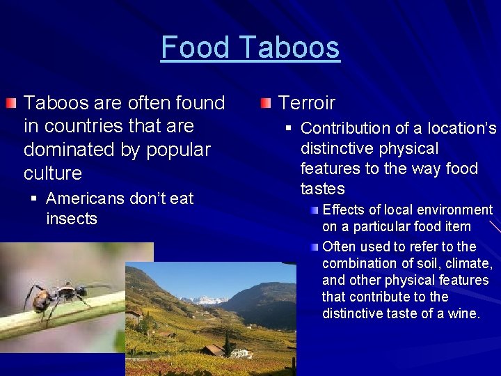 Food Taboos are often found in countries that are dominated by popular culture §